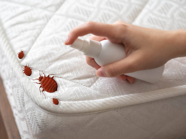 Best Pest Control for Multi-Family Homes  in Dublin, OH